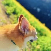 ののの【プロフィールご確認下さい】の画像