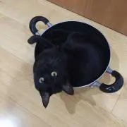 クロ☆単品値引不可の画像