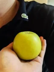 チンの画像