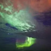 ココ