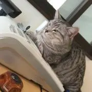 ヒロぽんぬ