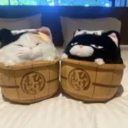 ぜろななの画像