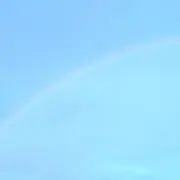 ミカドの画像
