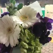 いちご※プロフお読みくださいの画像