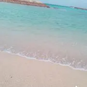 わたぶー
