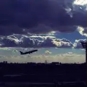 PPの画像