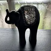 buchaの画像