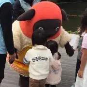 ぱぱんがパンダ