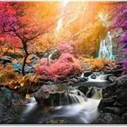 おまっ茶の画像