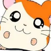 ハムの画像