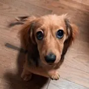 ありいくの画像