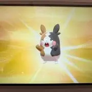 stppの画像