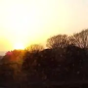 ま*さ様 ≒JOY ニアジョイ 村山結香 直筆サイン入りチェキ ニアジョイ 村山結香 直筆生写真 - メルカリ