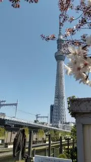 ひでHALLOの画像