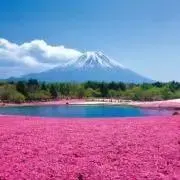 夏服大放出中❤希望価格お伺いしますの画像