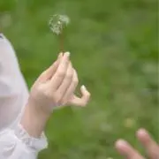 めだかちゃんの画像