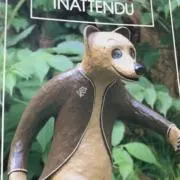 シロの画像