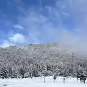 虹忍の画像