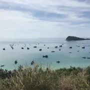 トウン