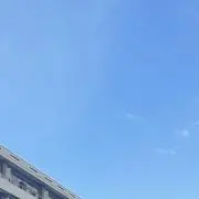 Image of 佐藤【無言取引　1ヶ月以上在庫確認希望
