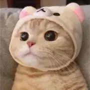 yuの画像