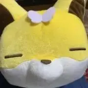 F.シャンヴルの画像