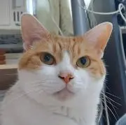 ユキ