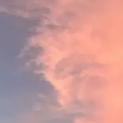 くまの画像
