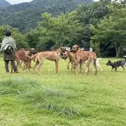 ひと