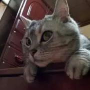 ひろちん