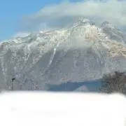 leimingsutradeの画像