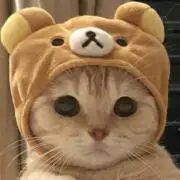 りんちゃん❤︎プロフ必読❤︎の画像