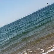 てら(プロフ必読)