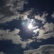ミキ