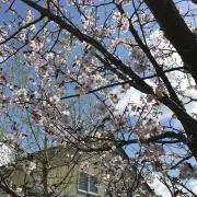 ぶんぶんぶんの画像