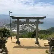 ハリスホーク☀︎フォロワー様１０％Ｏｆｆの画像