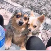 あめ
