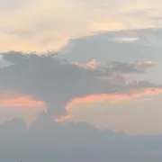 たぺさんの画像