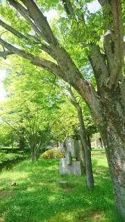 soraの画像