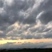 flamingoooの画像