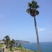 YAKの画像