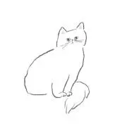 yuyuの画像