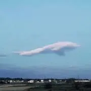 ふりっか（プロフ必読）の画像