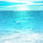 のぶの画像