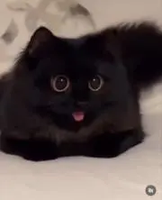 さやかの画像
