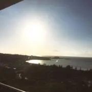 ショウの画像