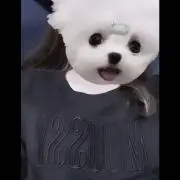 ruruの画像