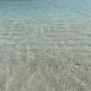◎◎の画像