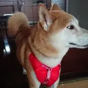 ゆき太郎←(๑・ิ㉨・ิ)