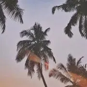 jm__13の画像